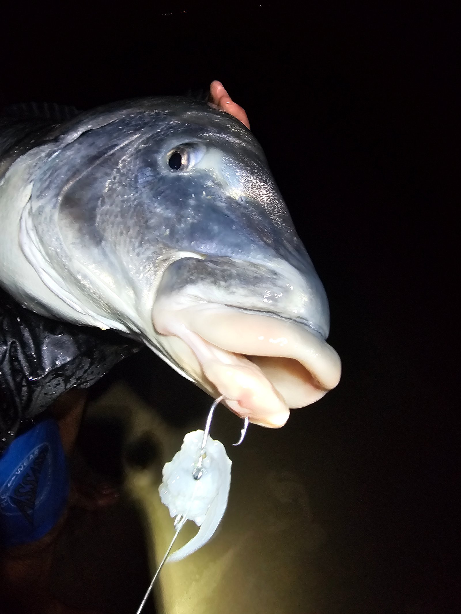 Fishing 54